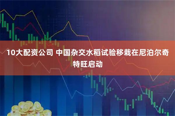 10大配资公司 中国杂交水稻试验移栽在尼泊尔奇特旺启动